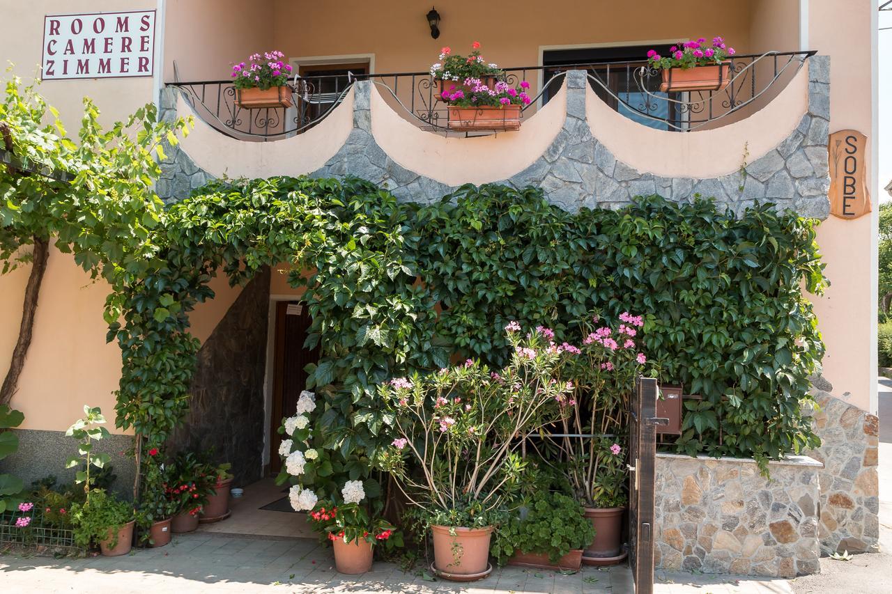 Bed and Breakfast Sobe In Apartma Pilih Vipava Exterior foto